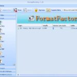 Format Factory: Herramienta clave para la gestión de idiomas