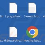 Guía Completa para la Creación de Archivos Ejecutables EXE