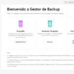 Guía para hacer un backup seguro de archivos convertidos