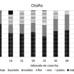 Manejo de rastros de corrección en imágenes raster y su impacto