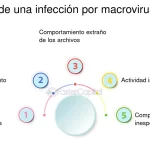 Riesgos de descargar archivos desconocidos: virus y amenazas